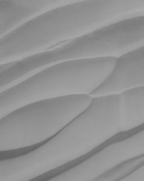 Stainless Steel Powders